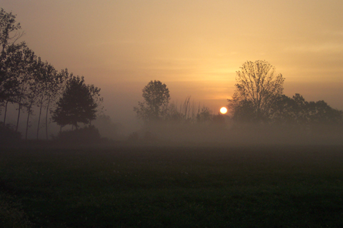 ALBA