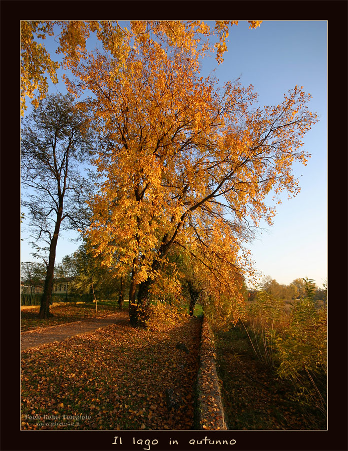 Il lago in autunno