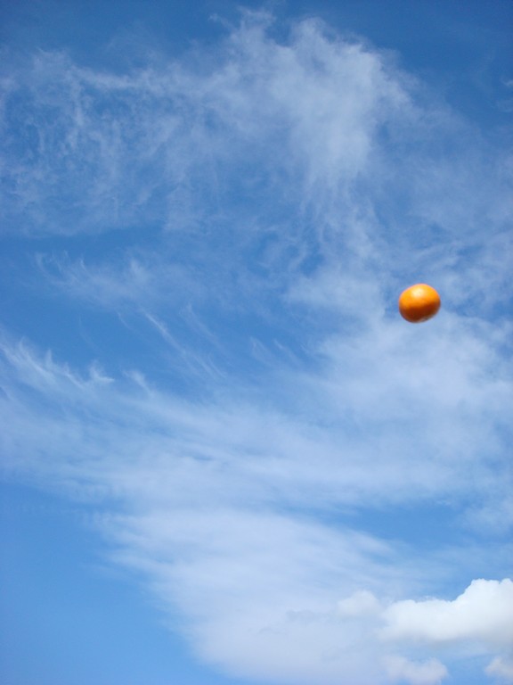 mandarino in cielo