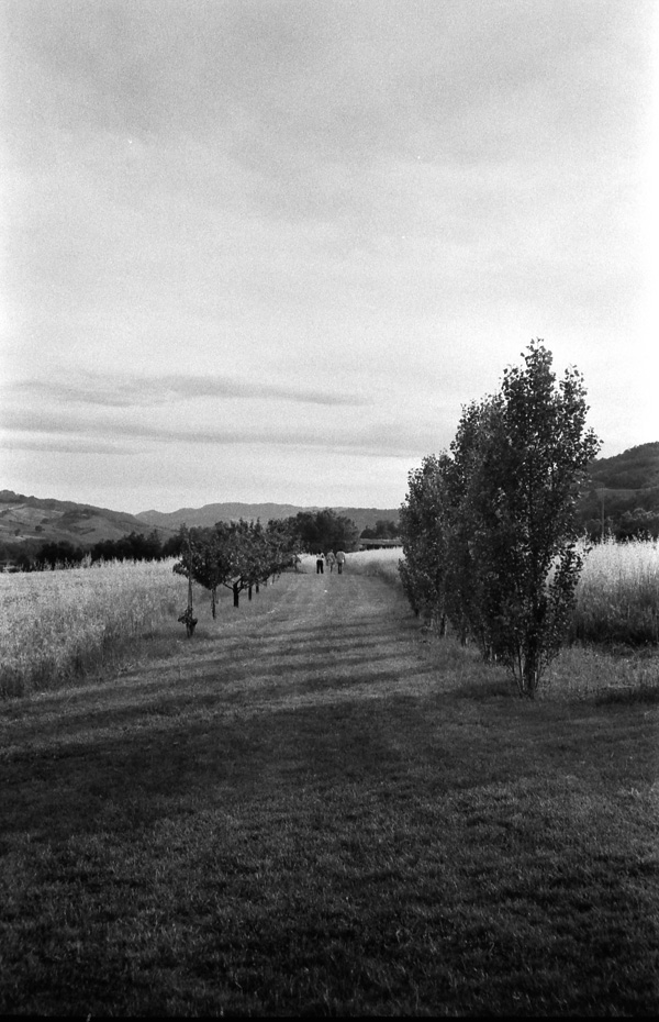 New Paths