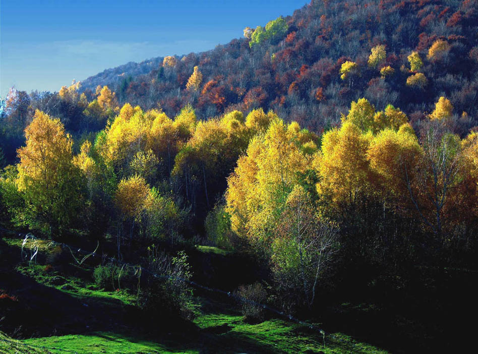 autunno