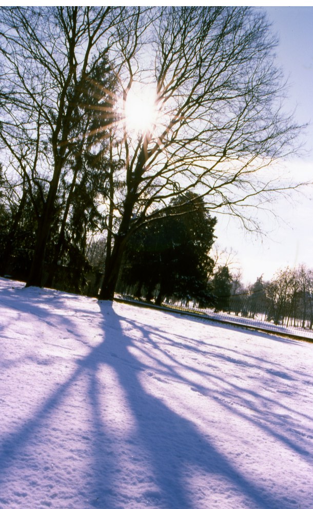 ombralabero parco di monza