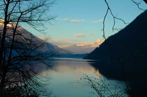 LAGO