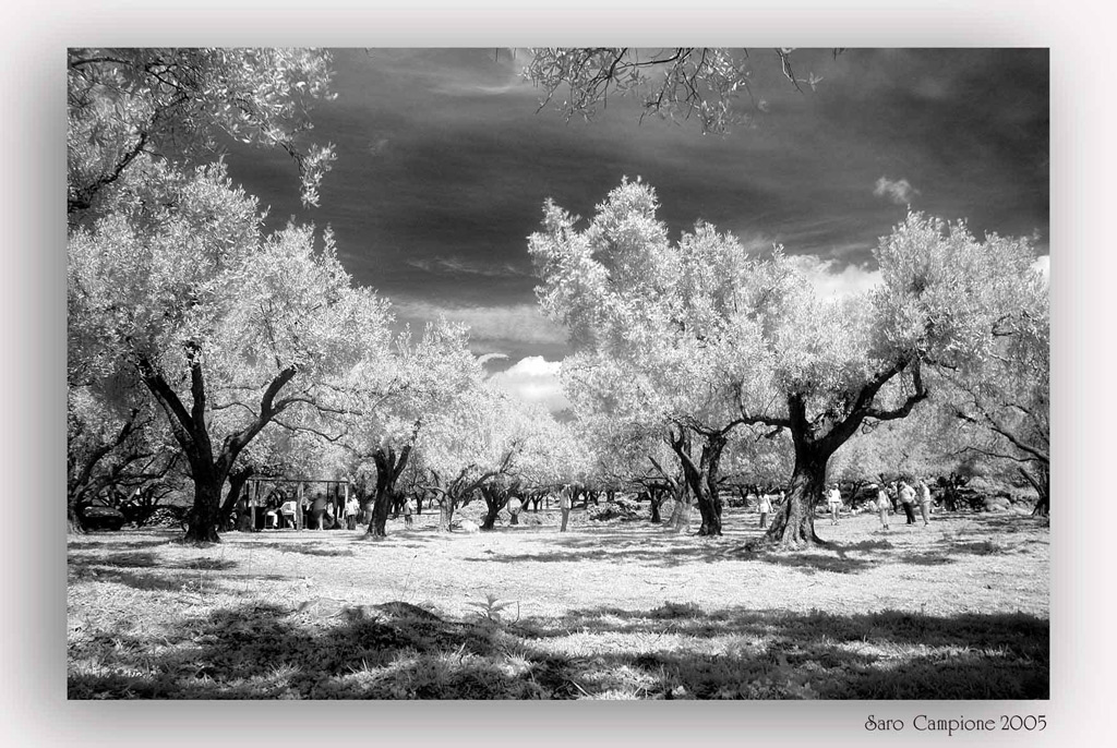 infrared
