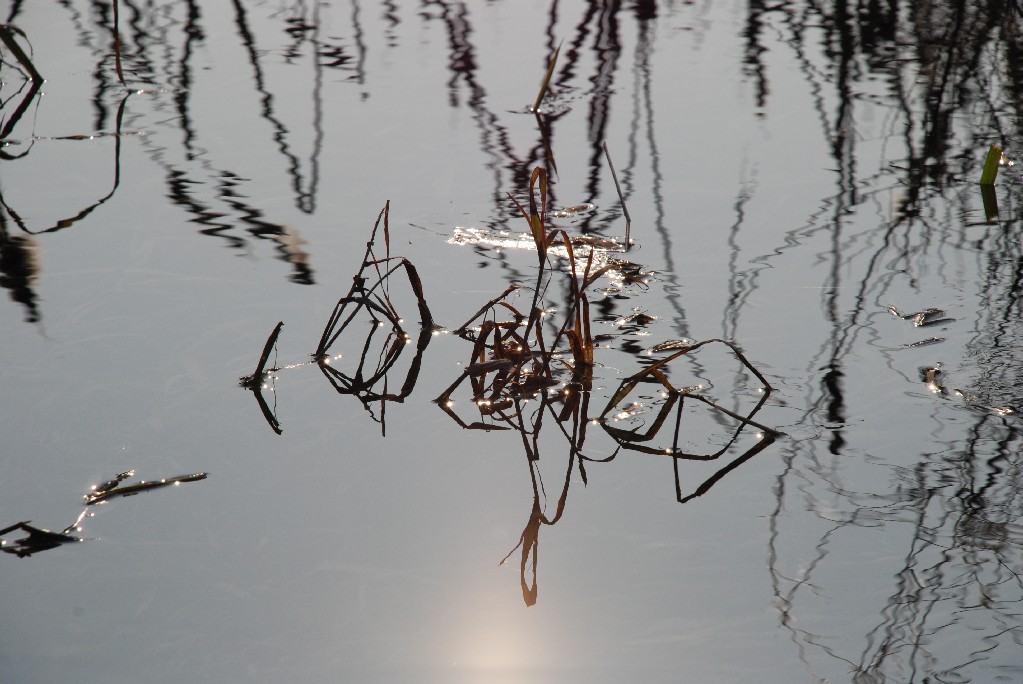 riflesso