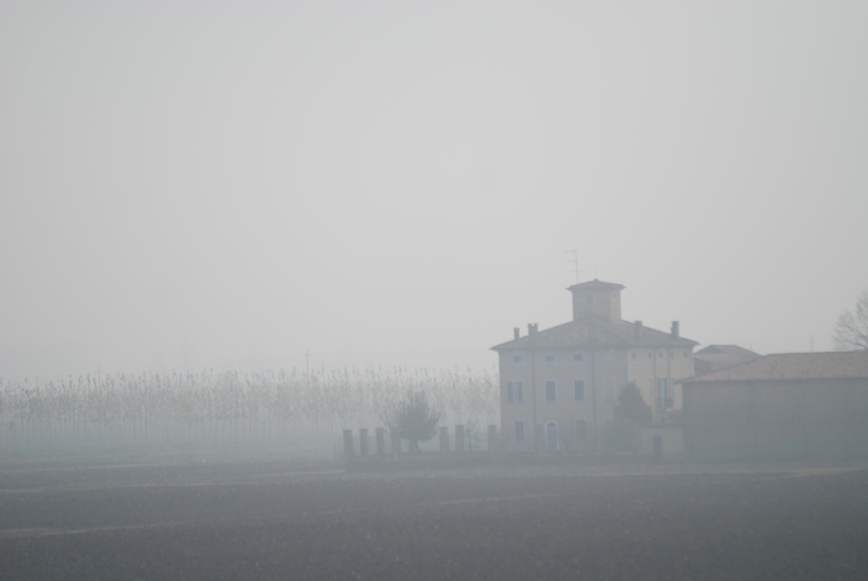 Paesaggio campestre