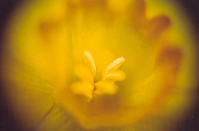 macro