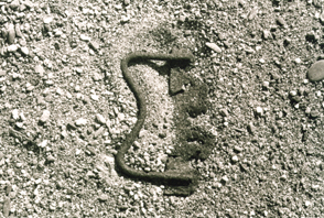 sorpresa