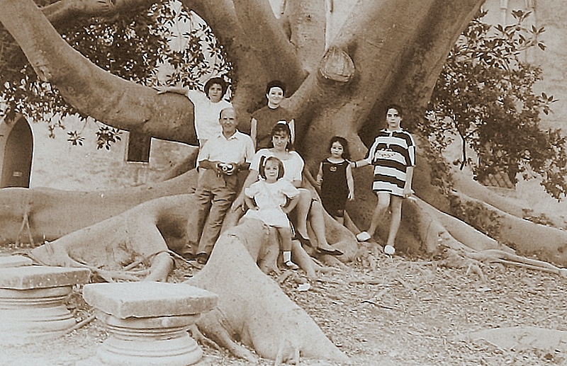 sotto un albero