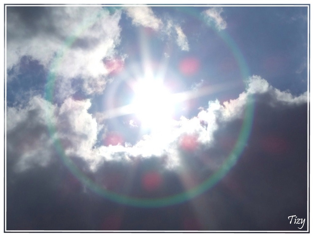 Sole