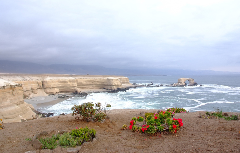 Antofagasta (Chile)