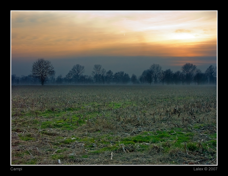 Campi