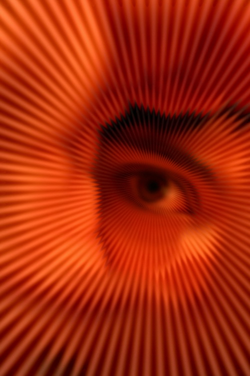 eye shoot