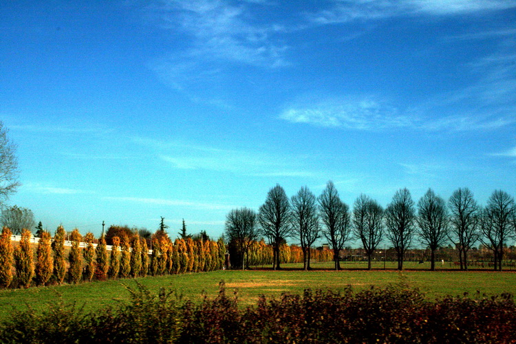 Vista