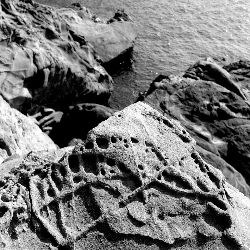 Le rocce di calafuria 1