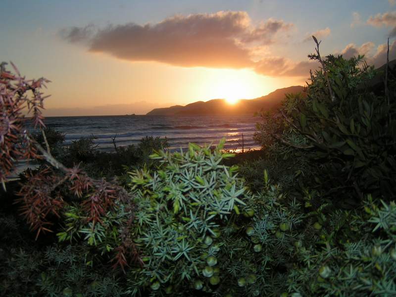 UN TRAMONTO AL MARE