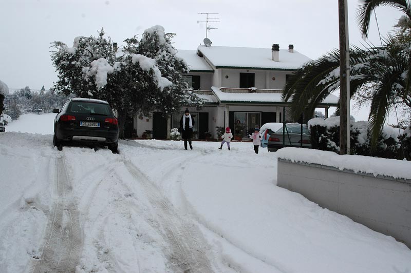Neve
