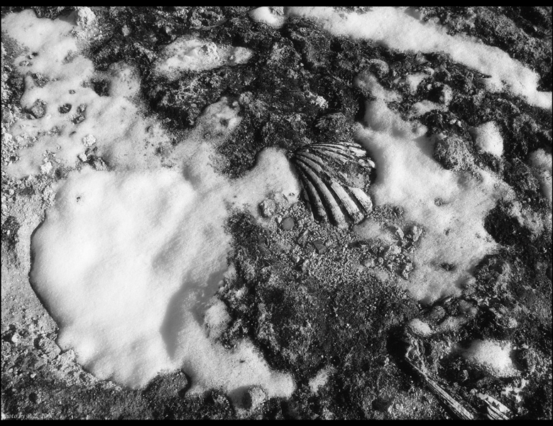 neve, 10