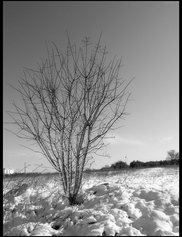 neve, 11