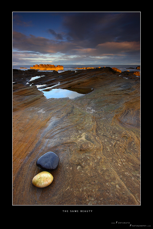 The Same Beauty (di Beckerwin)