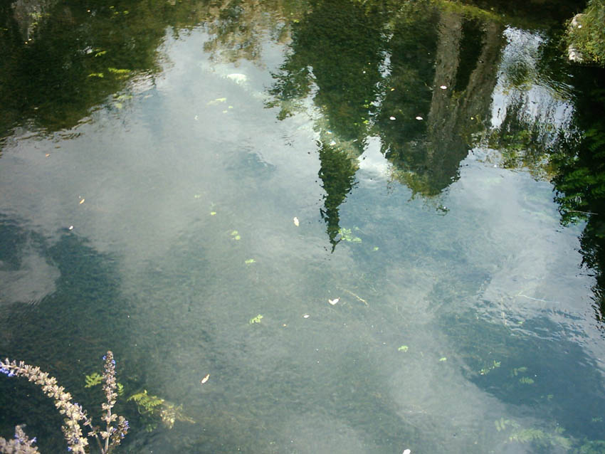 Riflessi