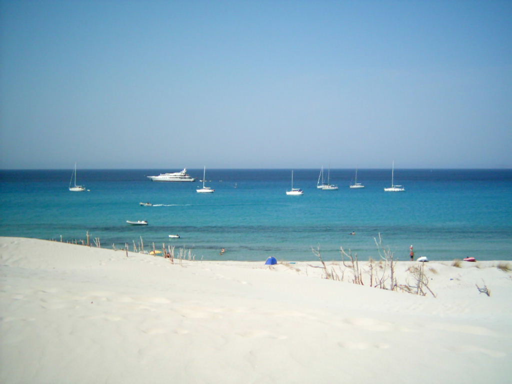 mare