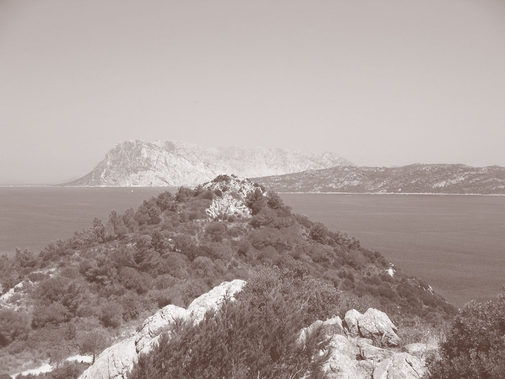 X Tavolara