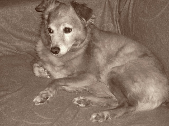 Bella...
