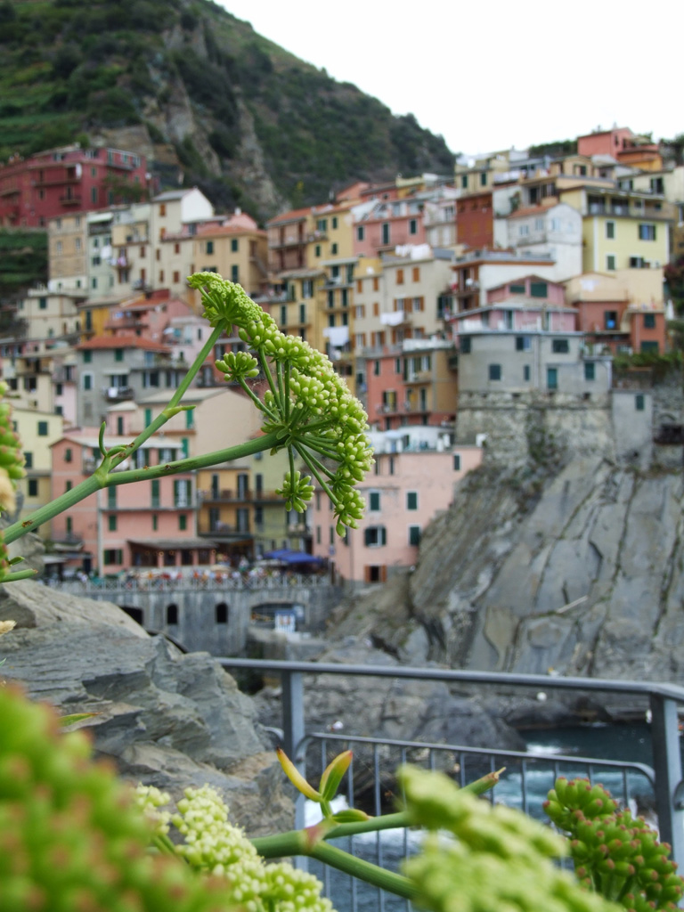 Le cinque terre 2