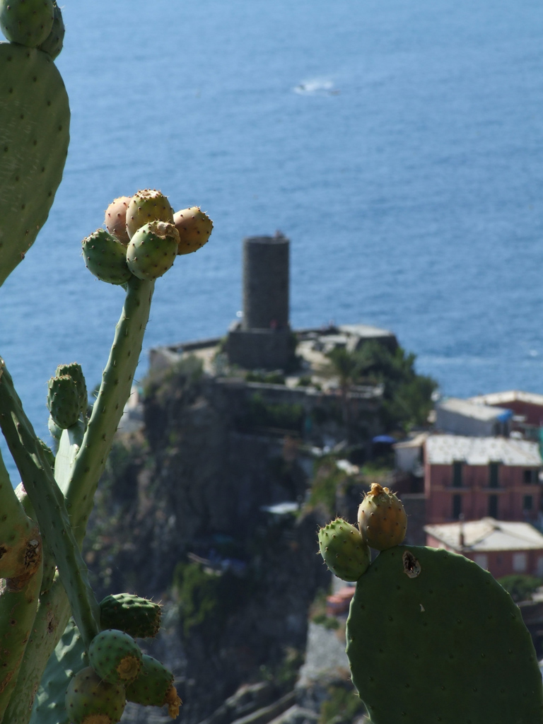 Le cinque terre 4