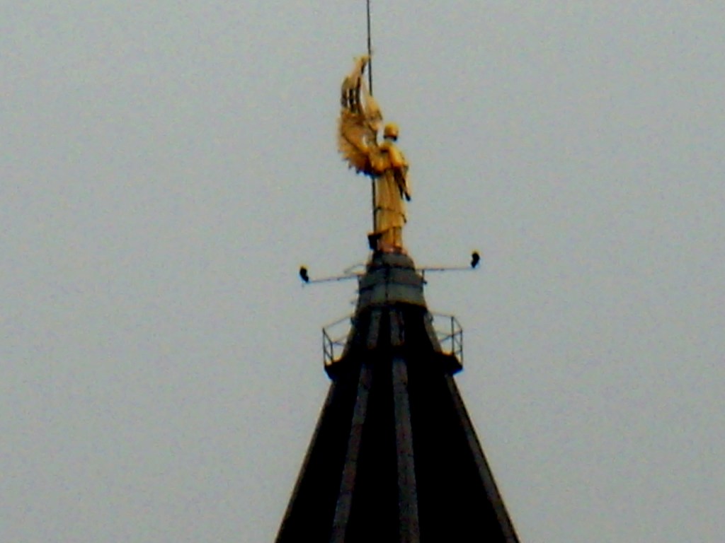 L'angelo
