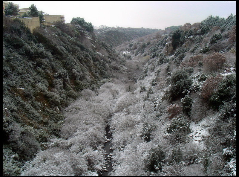 gravina