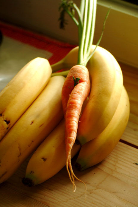 natura porca