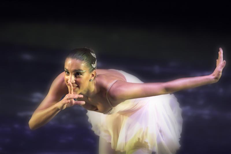 DANZA TERRY