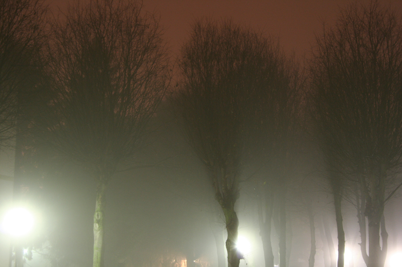 nebbia