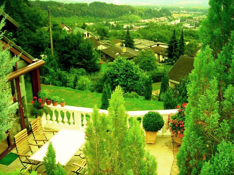 la verde svizzera