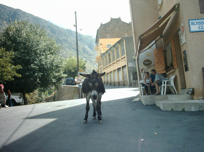 Abitanti della Corsica