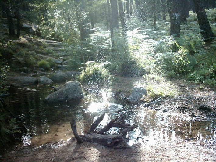 Sasso nell'acqua