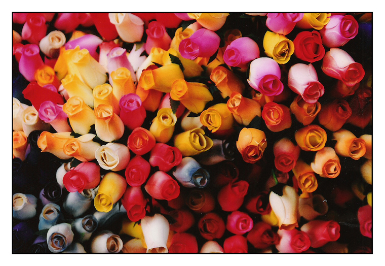 Fiori