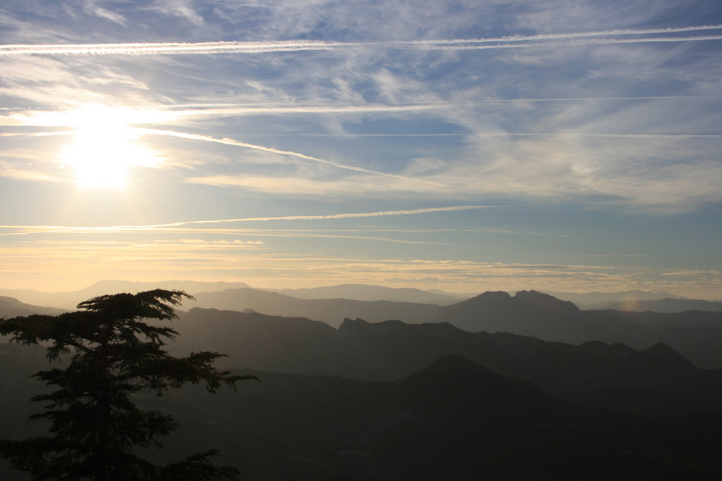 Scie chimiche