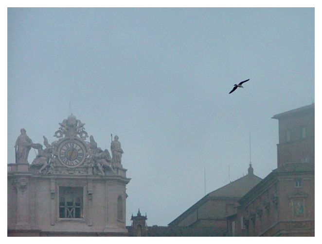 7 Veglia giovanni paolo II