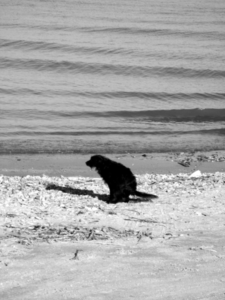 Momenti magici#1