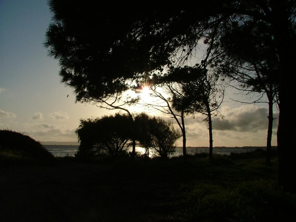 test1