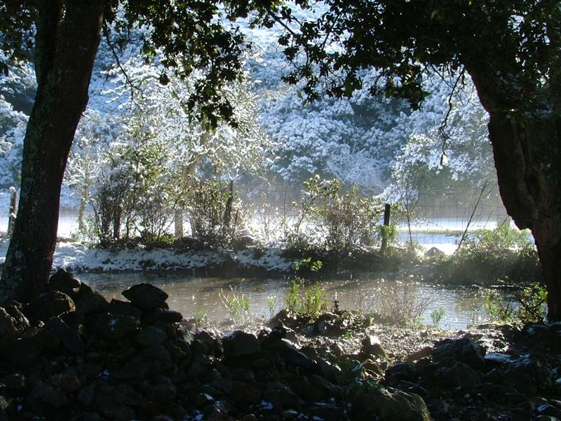 neve