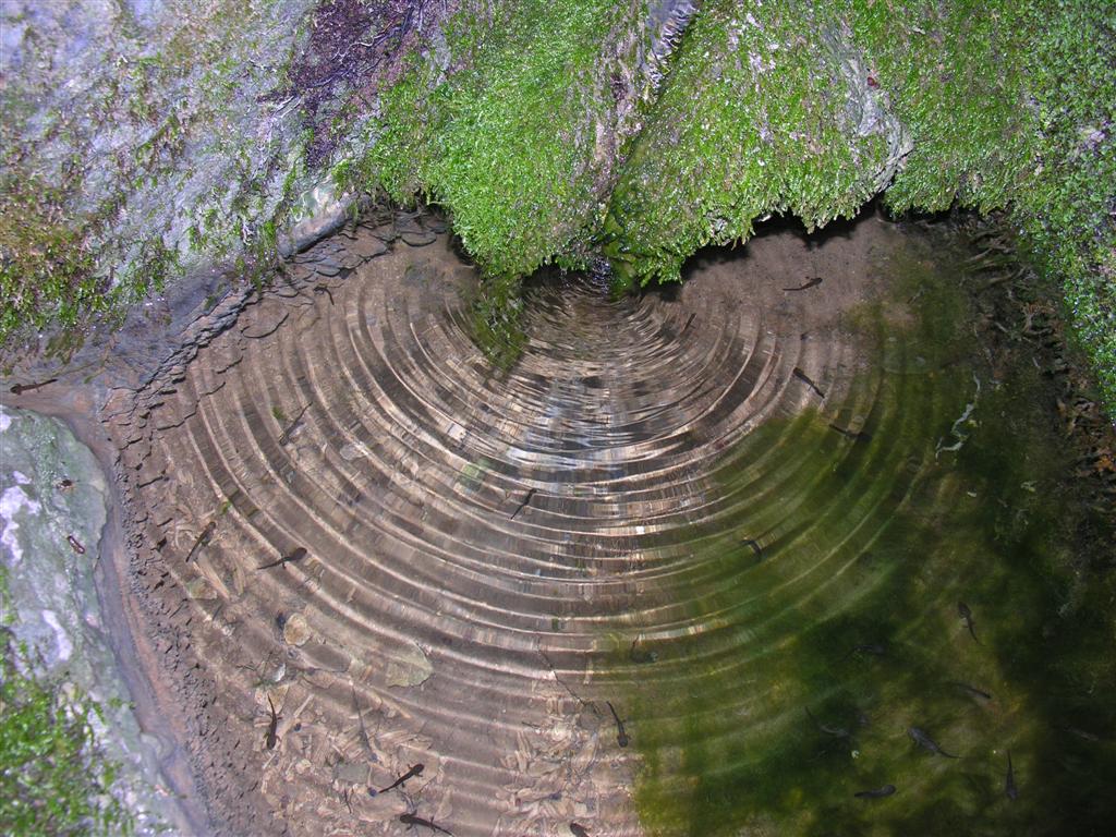 Acqua