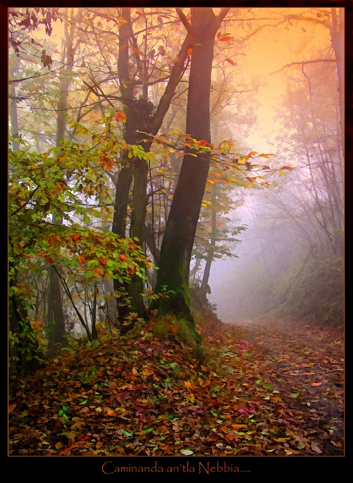 Autunno -4-