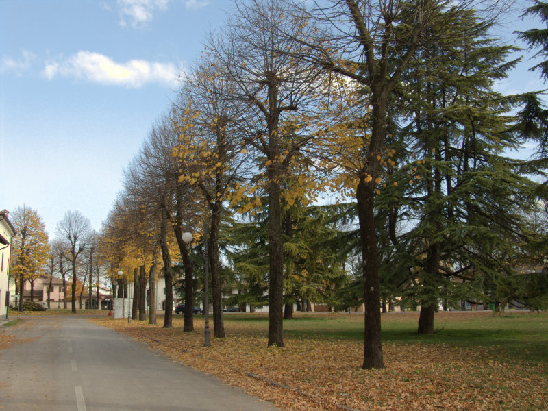 piazza