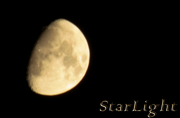the moon light