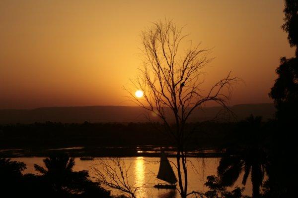 the sunset