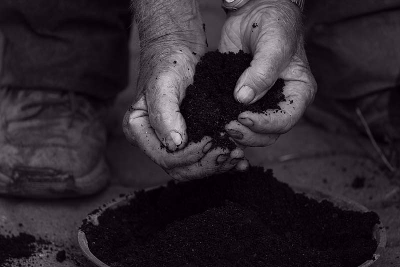 La mia terra